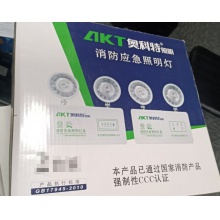 消防應(yīng)急燈（GC-ZFZD-E3W-1D）